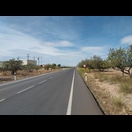 Mandelbäume entlang der langweiligen Straße